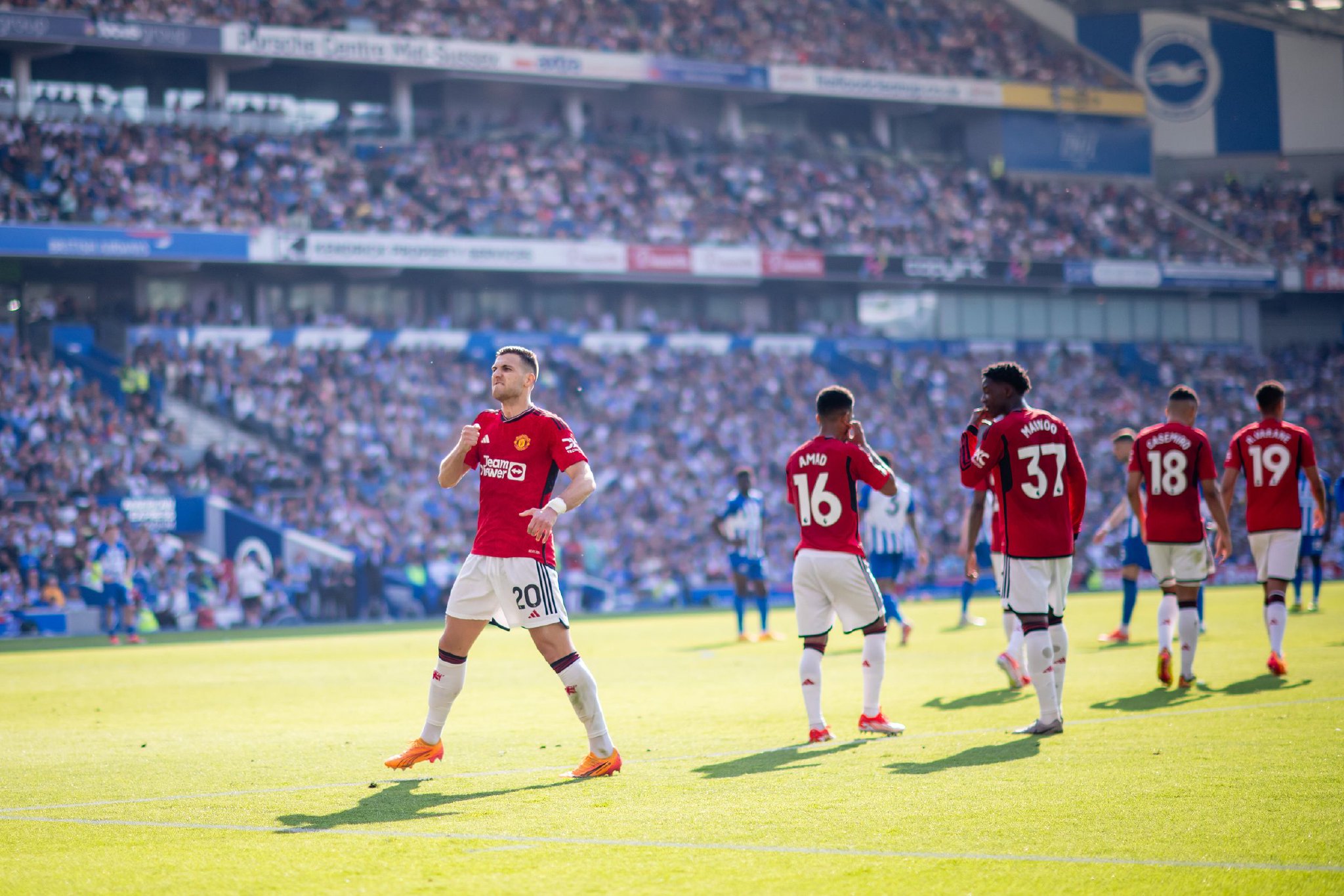 多的锻炼机 多的锻炼机